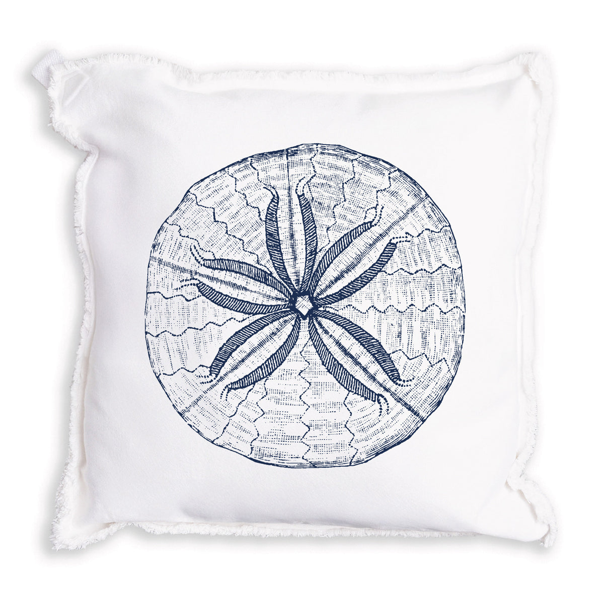 Sand Dollar Sketch Pillow
