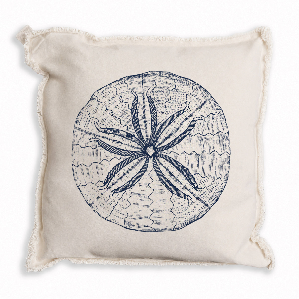 Sand Dollar Sketch Pillow
