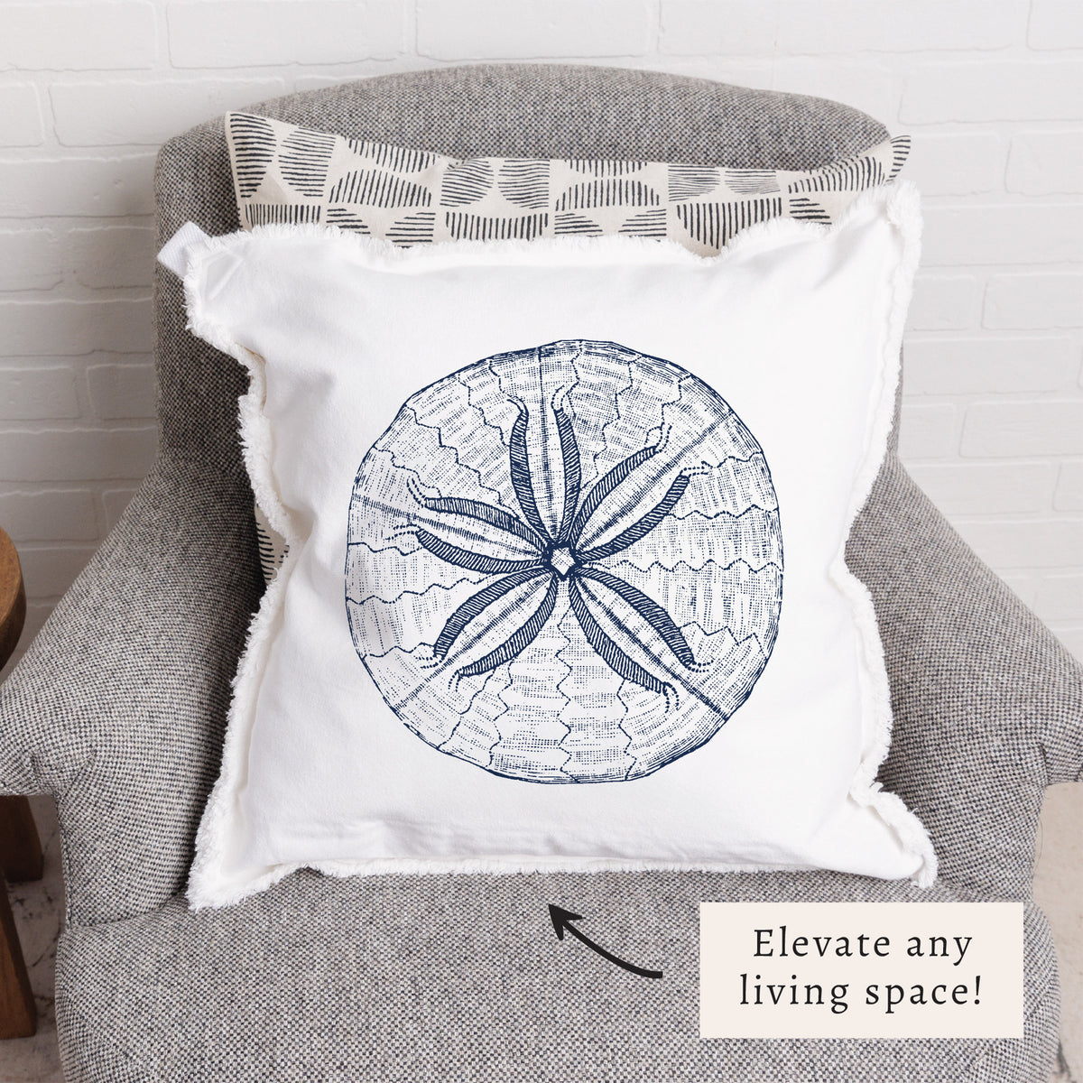 Sand Dollar Sketch Pillow