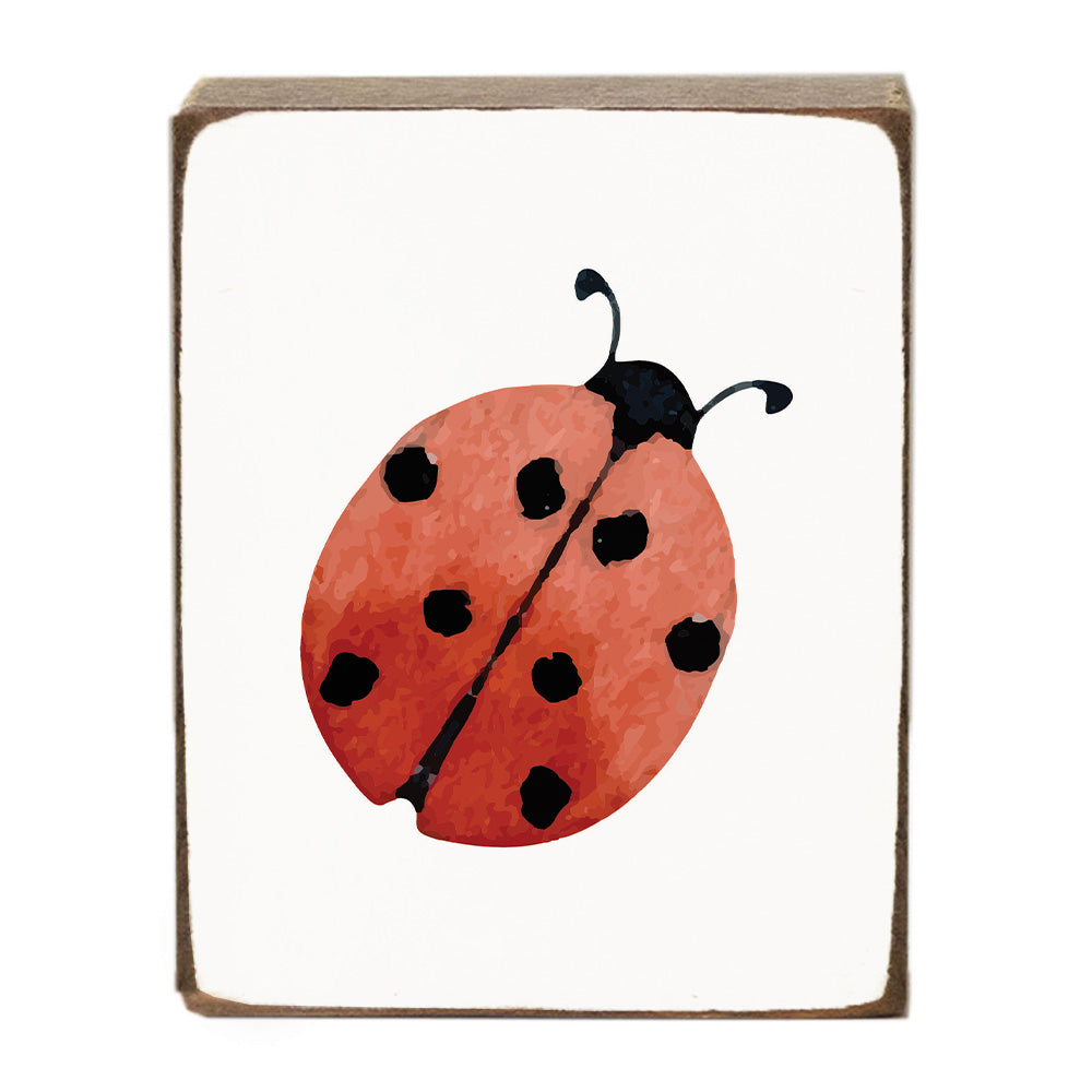 Ladybug Painting Block Block