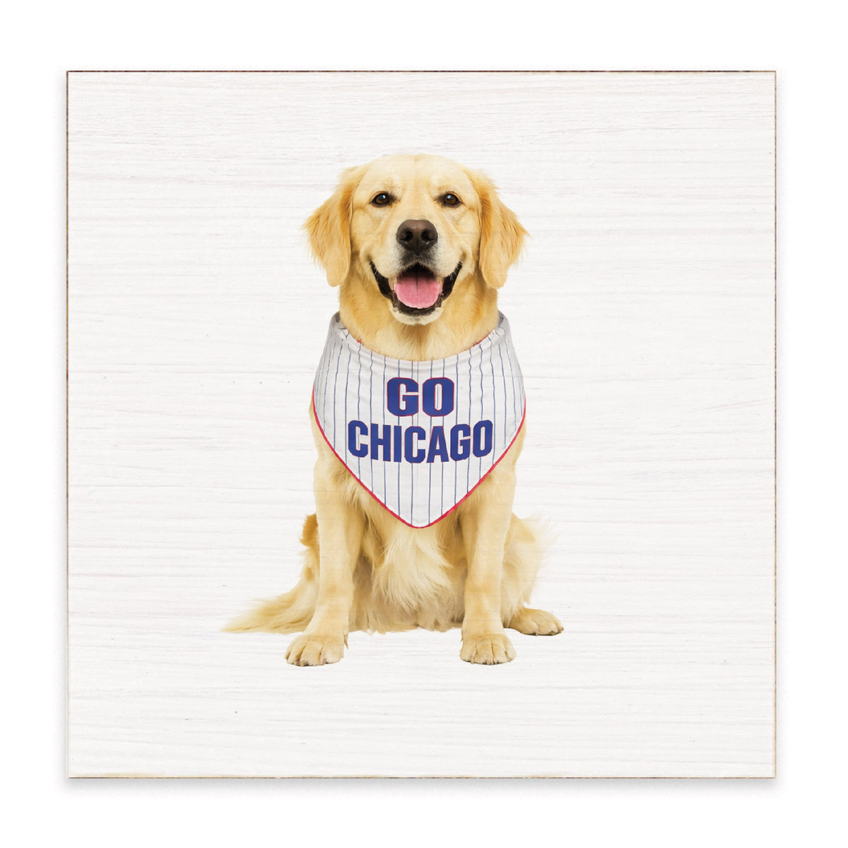 Chi Cubs Dog Block Sign