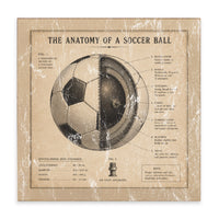 Anatomy Of Soccer Ball Block Sign