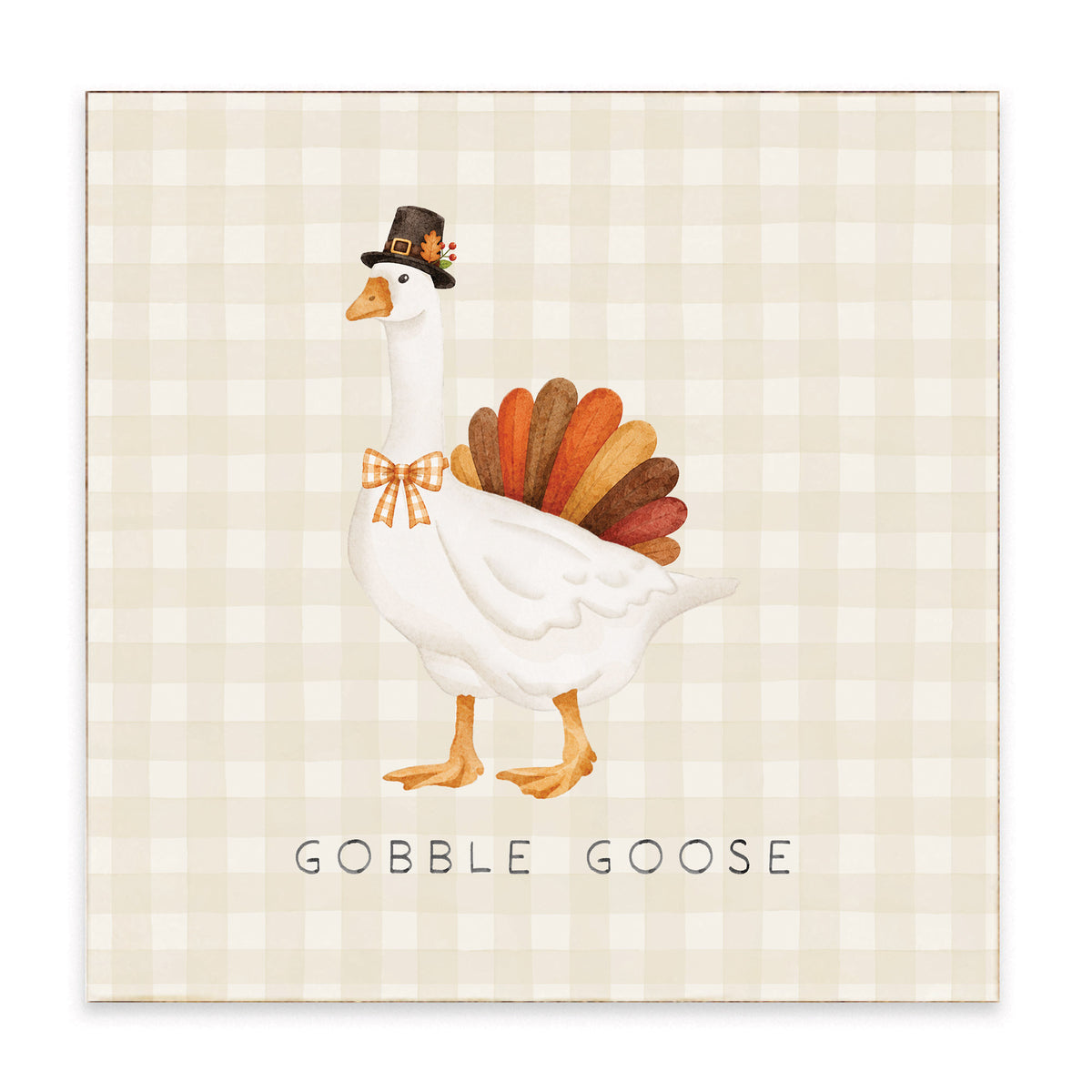 B2W-BKC_01.jpg