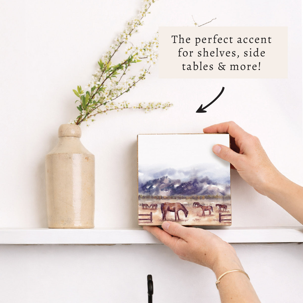B2W-CGD_02.jpg