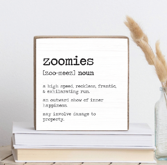 Zoomies Definition Decorative Wooden Block