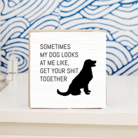 Sometimes My Dog Looks At Me Block Sign