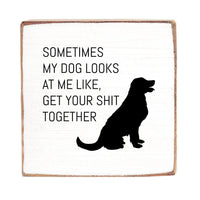Sometimes My Dog Looks At Me Block Sign