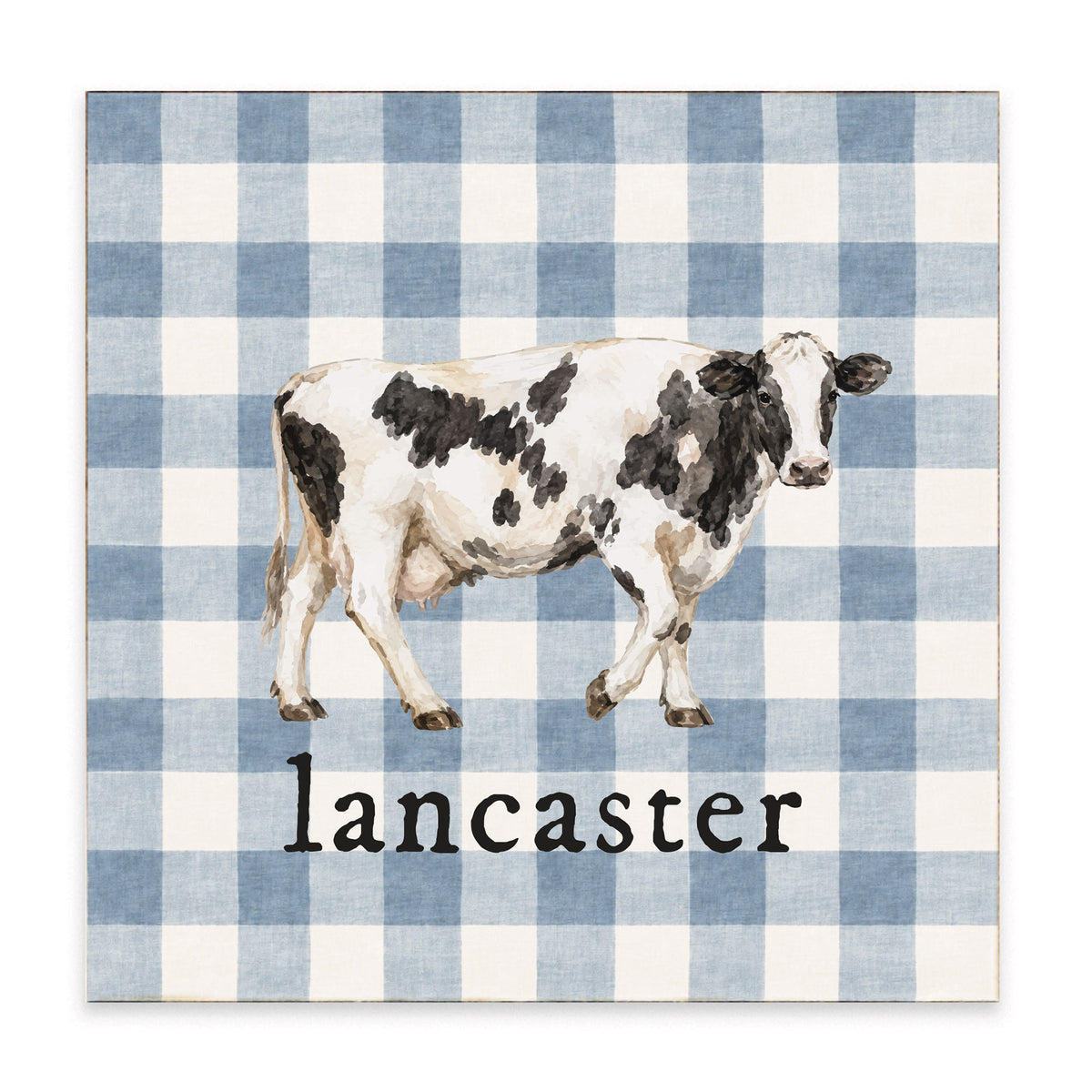 B2W-PCFZ_01.jpg