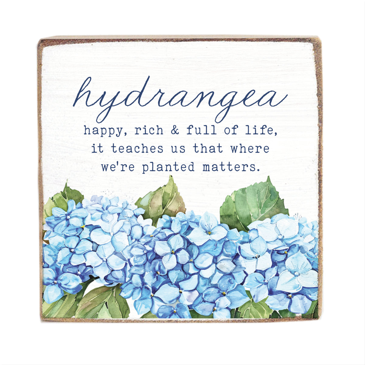Hydrangea Definition Block Sign