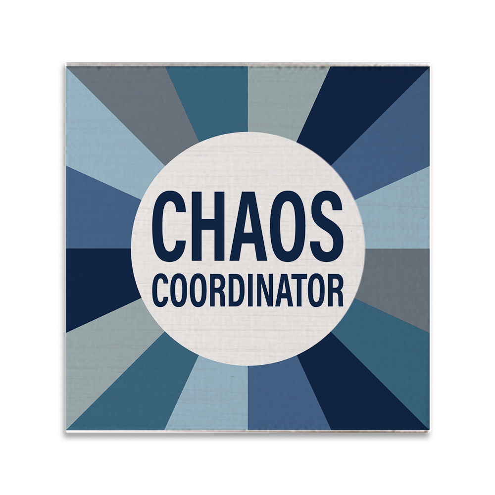 Chaos Coordinator Coaster