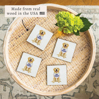 Chi Cubs Dog Coaster