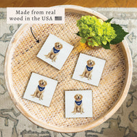 Cape Cod Dog  Coaster Set