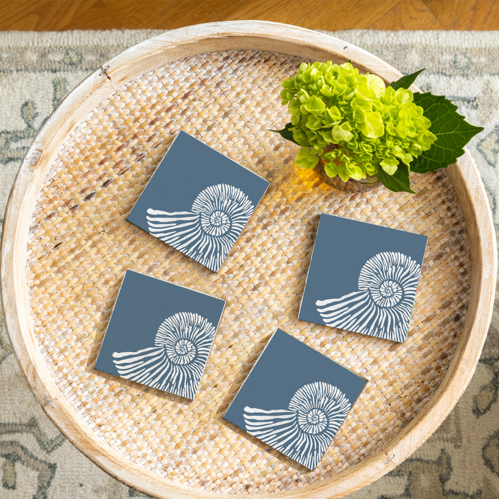 Shell Coaster Set