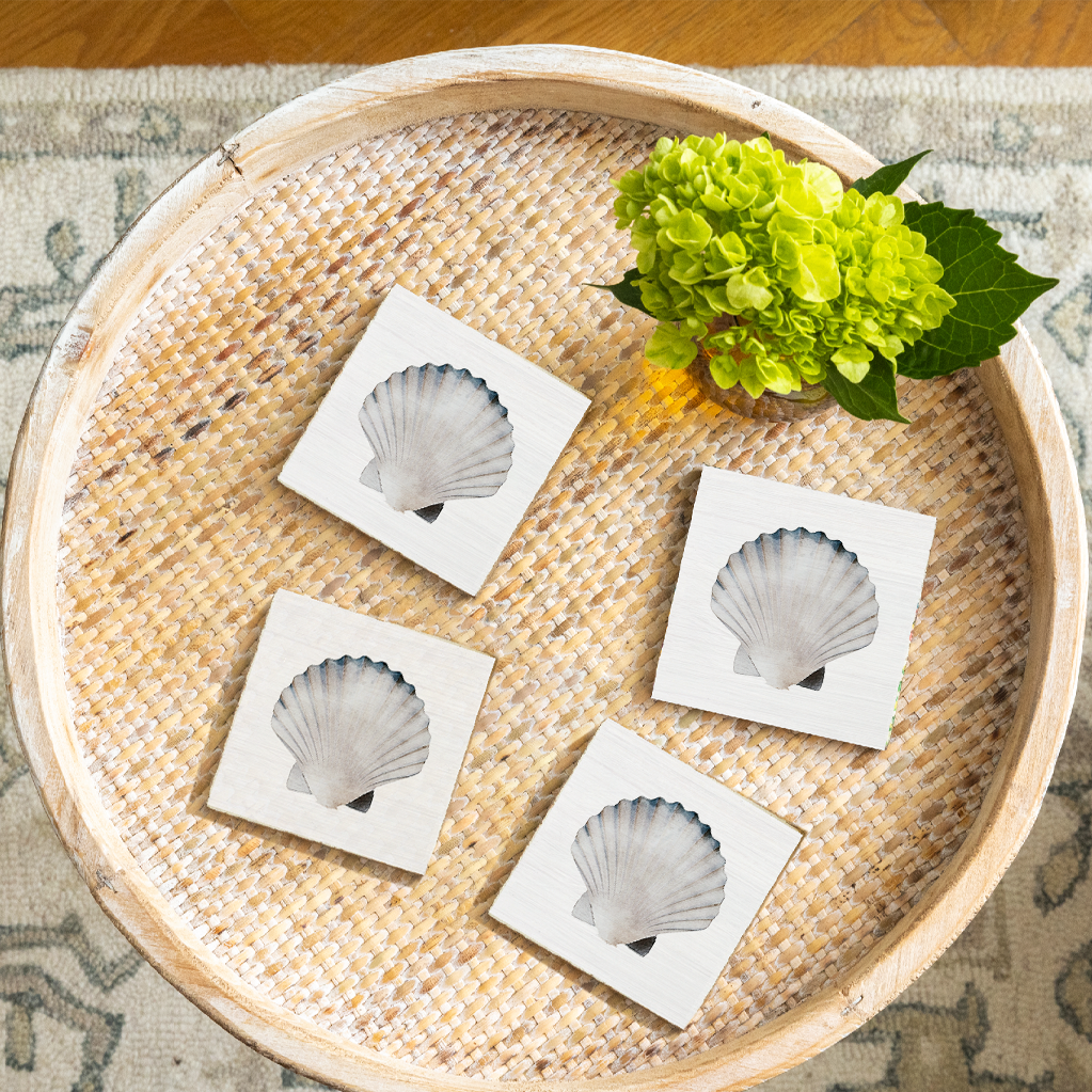 Watercolor Shell Pattern Coaster Set