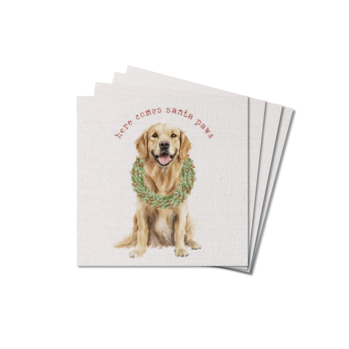 Here Comes Santa Paws Coaster Set