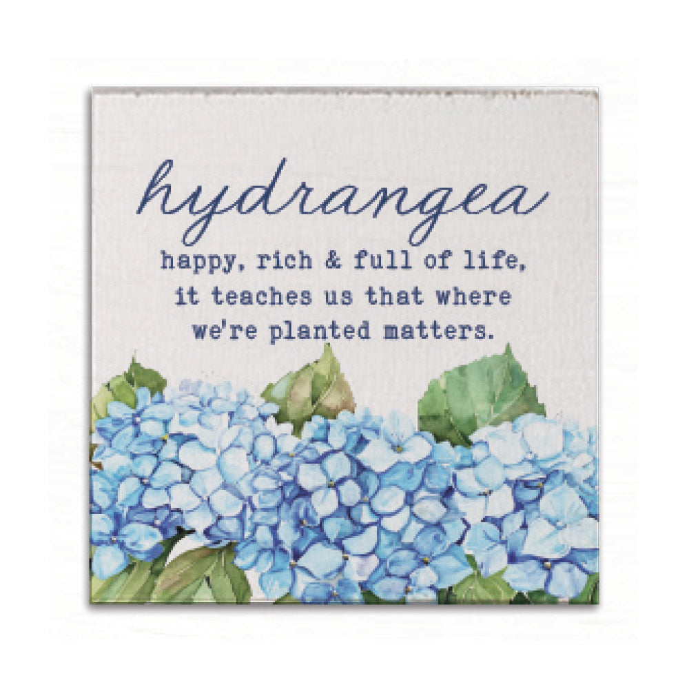 Hydrangea Definition Coaster Set