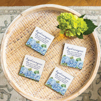 Hydrangea Definition Coaster Set