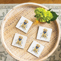 Coastal Dog Coaster Set