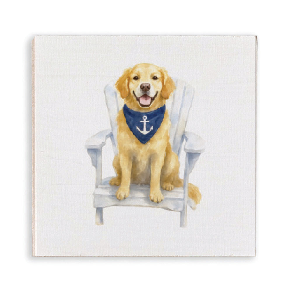 Coastal Dog Coaster Set