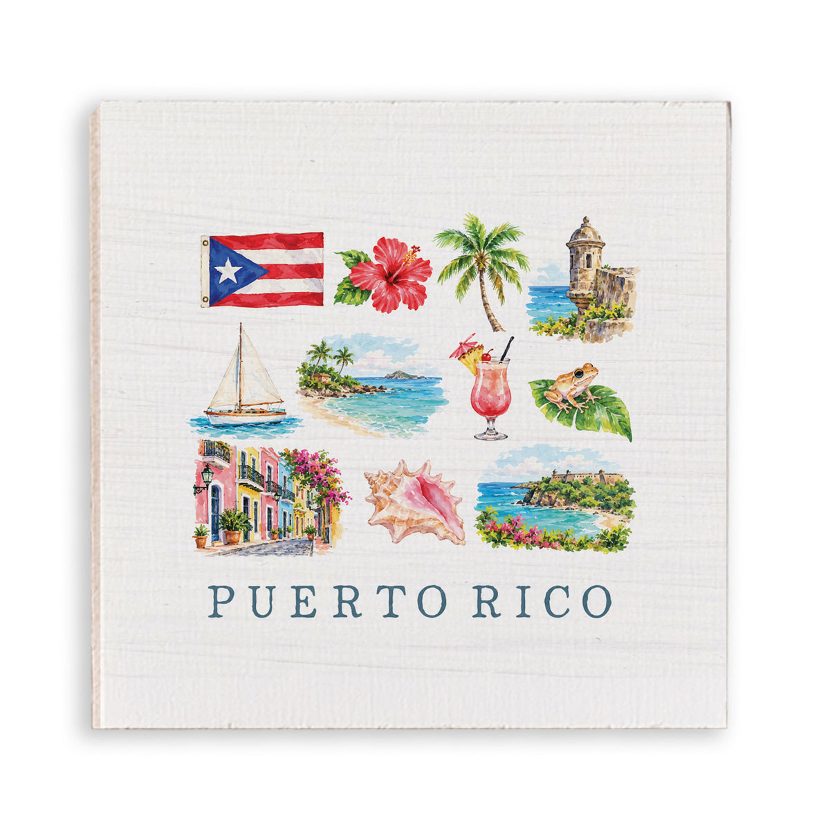 Puerto Rico Icons Magnet