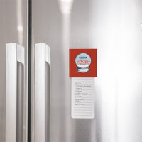 Red White and Blue Boston Snowglobe Magnet