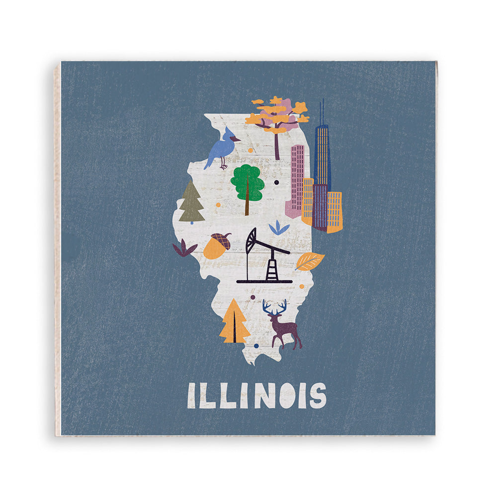 Illinois State Icons Magnet