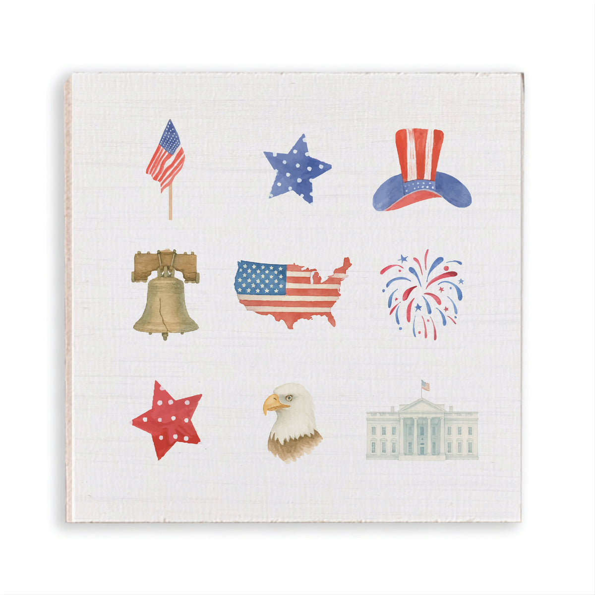 USA Icons Magnet