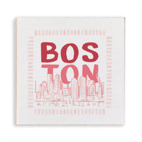 Boston Pink Magnet