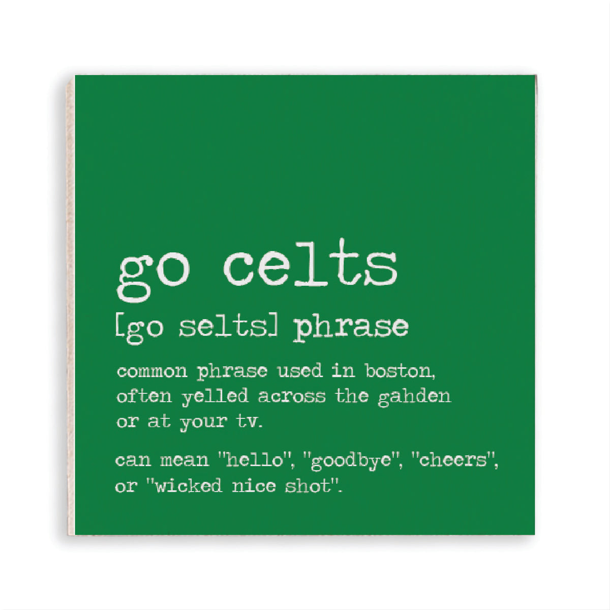 Boston Go Celts Definition Magnet