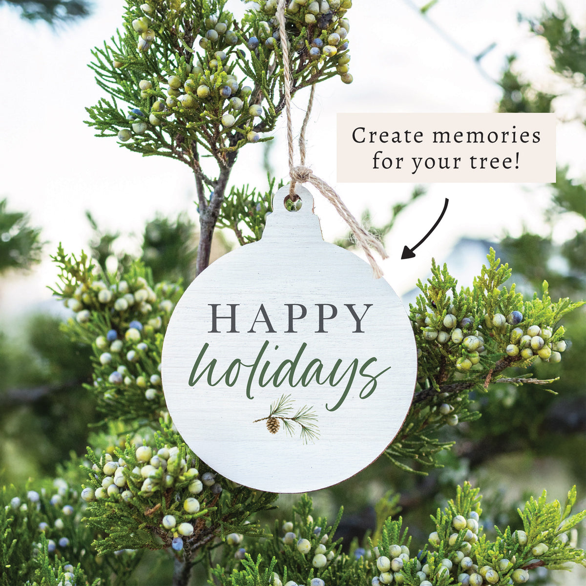 O6-BVT_02.jpg
