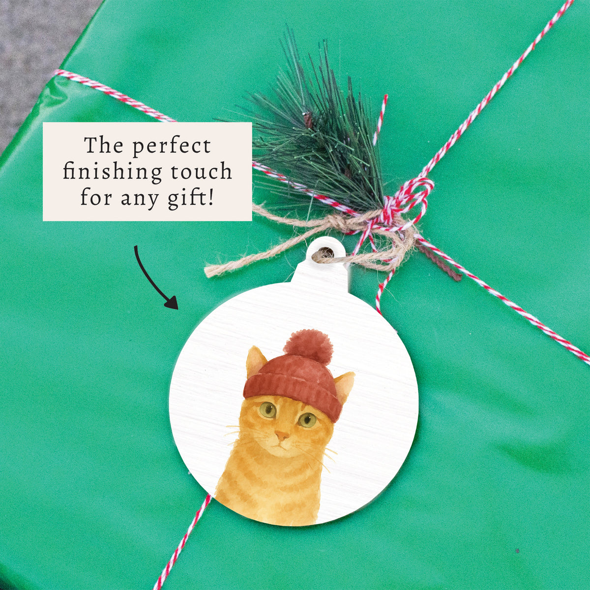 Winter Cat Ornament