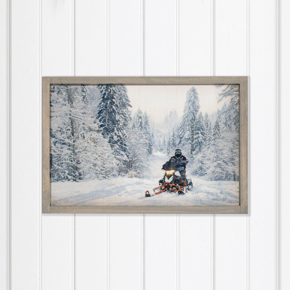 Snowmobile Through Trees Wall Art