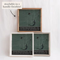 Map Springfield City Grid Serving Tray