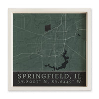 Map Springfield City Grid Serving Tray