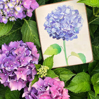 Blue Hydrangea Decorative Wooden Block